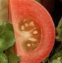 Synnovis